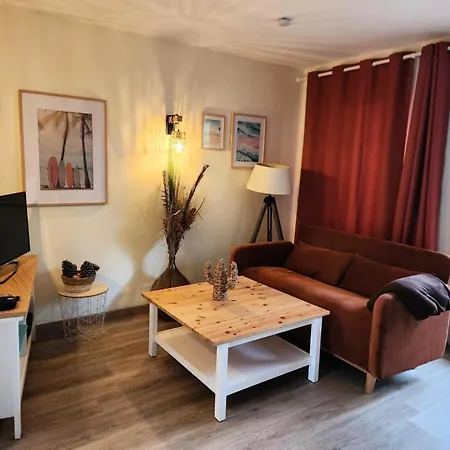 Les Maisons De Les Pins - Maeva - Maison Charmante Avec Jardin 3 Pieces 4 Personnes - Prestige - Super Mae-7455 Lacanau