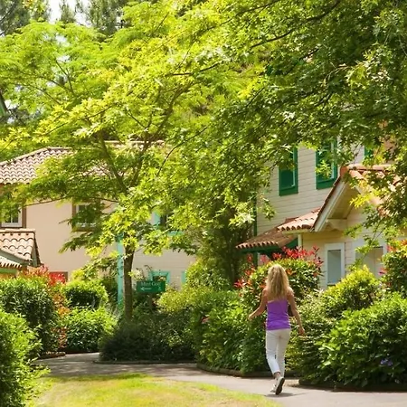 Les Maisons De Les Pins - Maeva - Maison Charmante Avec Jardin 3 Pieces 4 Personnes - Prestige - Super Mae-7455 Lejlighed Lacanau